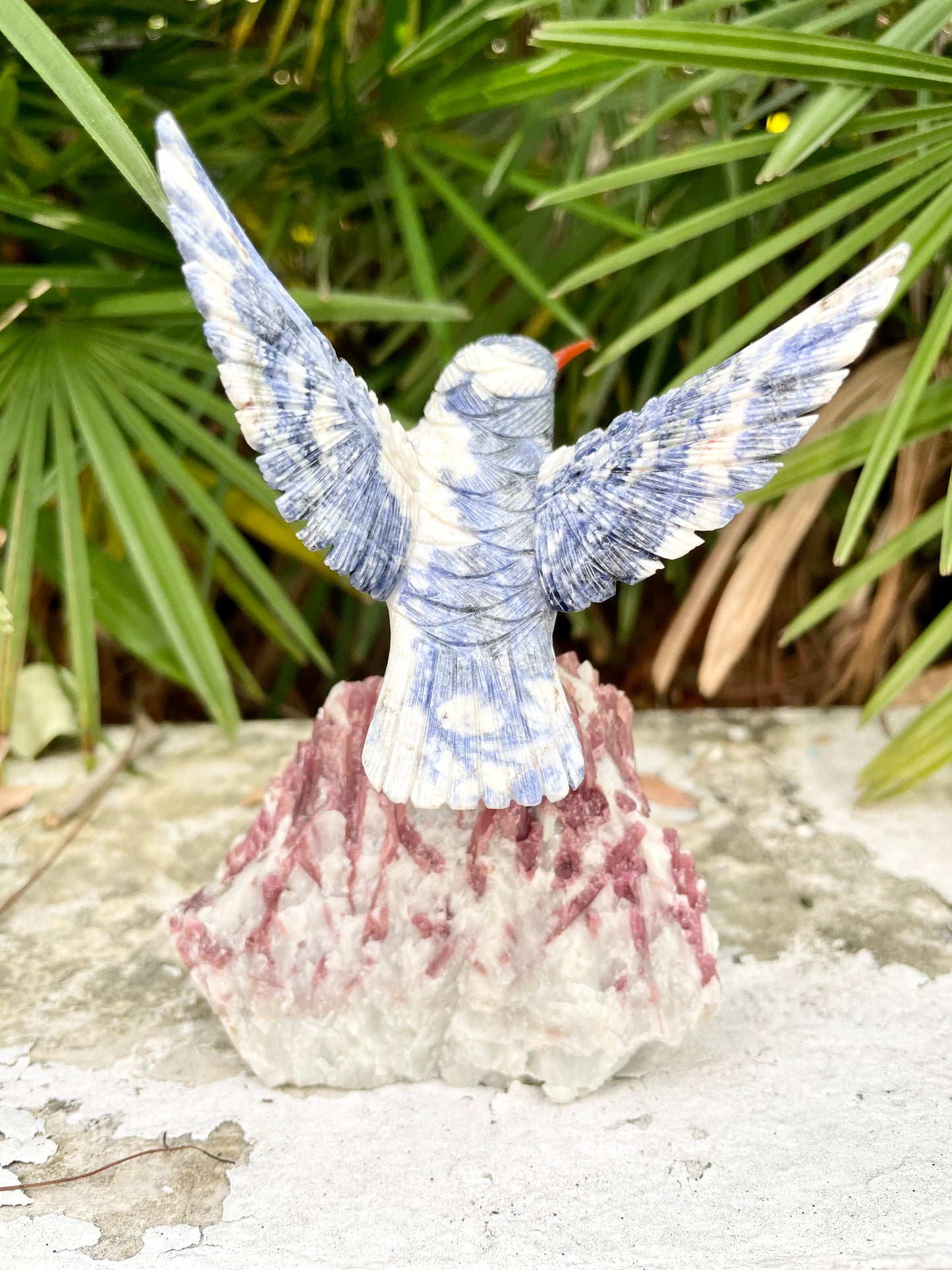 Sodallite Hummingbird on Pink Tourmaline in Quartz Matrix